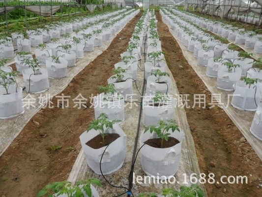 Customizable Drop Arrows for Pot Farm Irrigation Agriculture Irrigation Customization