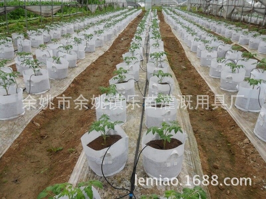 Engineering Plastic Drip Fittings for Customizable Portable Home Plant Irrigation