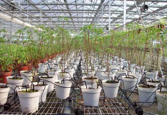 Engineering Plastic Drip Fittings for Customizable Portable Home Plant Irrigation