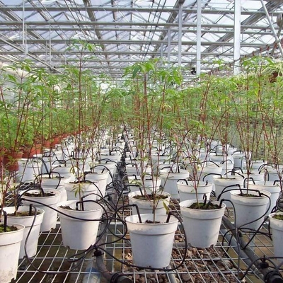 Pot Irrigation Farming Drop Arrows with Durable Engineering Plastic Materials