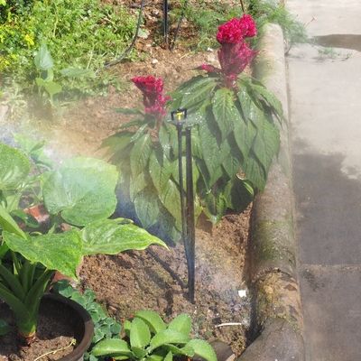 360° Garden and Farm Irrigation Sprinkler Engineering Plastic Refractive Atomization