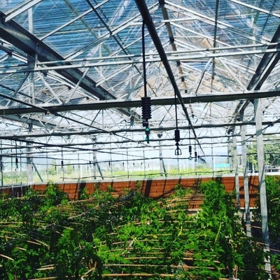 Rotating Nozzle Hanging Sprinkler System for Agricultural Irrigation in Garden