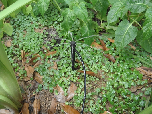 Ray/Centrifugal Inserted Link Sprinkler for Consistent Farm Irrigation in Garden