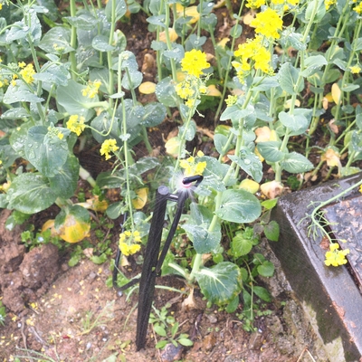 G Type 360 Forestry Irrigation Refraction Sprinkler Micro with Water Pressure Control