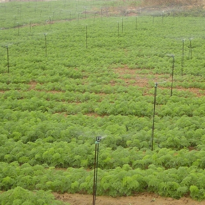 Engineering Plastic Upright Position Rotary Micro Sprinkler for Agriculture Irrigation