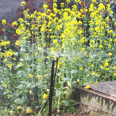 G Type 360 Agriculture And Forestry Garden Sprinkler for Irrigation Quick Connect