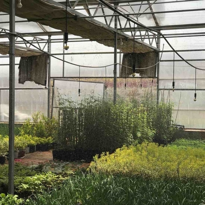 Commercial Buyers Get Discounted 360 Degree Garden Sprinkler for Farm Irrigation