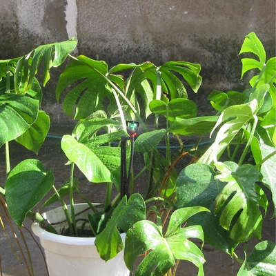 Lasting Upright Position Agricultural Water Sprinkler Irrigation System with Plastic Sprinkler