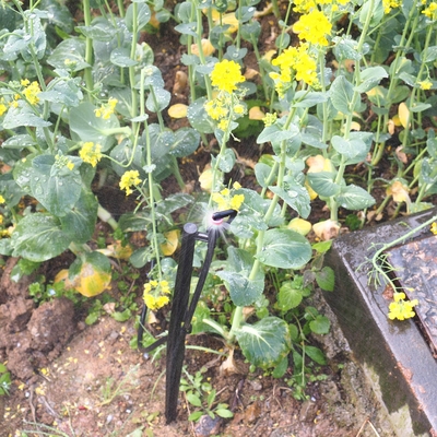 G Type 360 Degrees Agriculture Irrigation Sprinklers Performance 1.8-2.6M Spray Radius