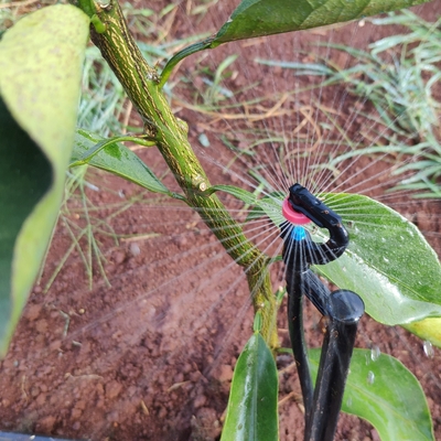 Engineering Plastic G Type 360 Degrees Refraction Sprinklers for Agriculture Irrigation