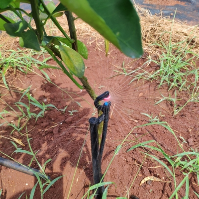 360 Degrees Agricultural Water Sprinkler Normal Style for Micro Sprinkler Irrigation
