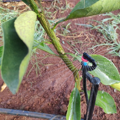 360 Degrees Agricultural Water Sprinkler Normal Style for Micro Sprinkler Irrigation